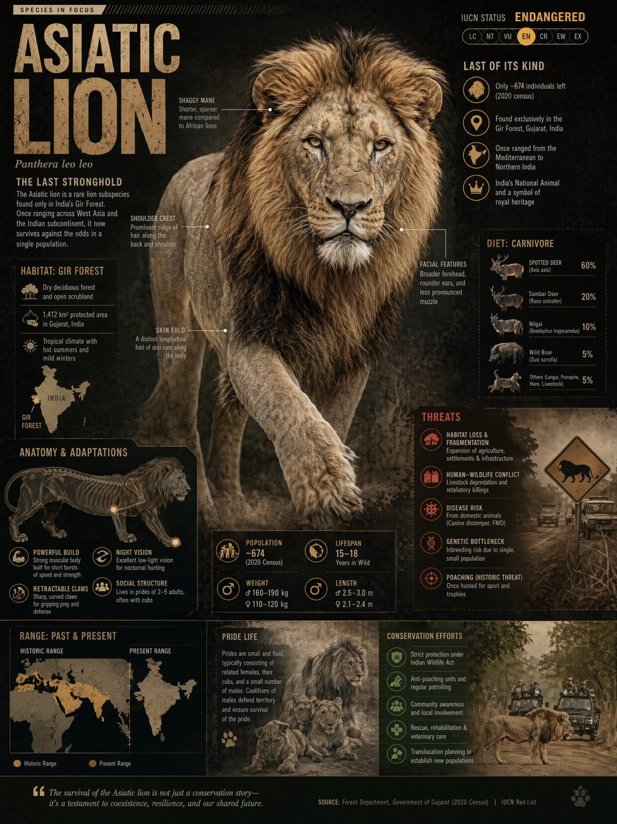 Premium editorial-style infographic centered rare GPT Image 2 poster design prompt example